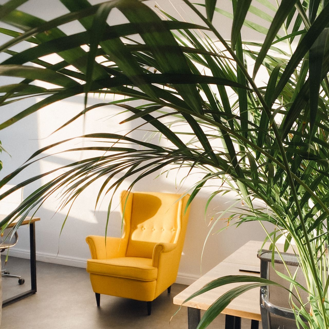 pexels-vasiliy-skuratov-9515931-6274244 Modern office interior with a vibrant yellow armchair and abundant natural light.